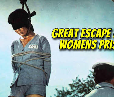 Great Escape from Women's Prison (1976)