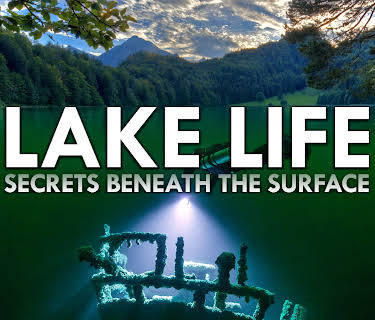 Lake Life: Secrets Beneath the Surface