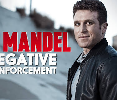 Mo Mandel: Negative Reinforcement (2016)