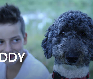 Buddy (2019)
