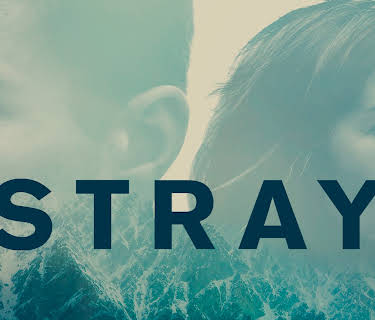Stray (2020)