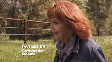 Pat Derby