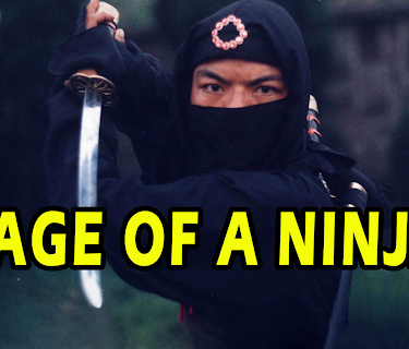 Rage Of A Ninja (1988)