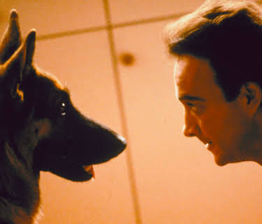 Superagente k-9 (1989)