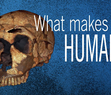 What Makes Us Human? (2012)