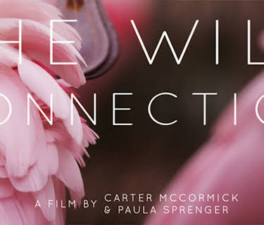 The Wild Connection (2020)