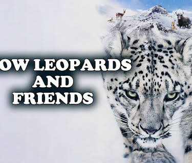 Snow Leopards and Friends (2023)