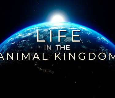 Life in the Animal Kingdom