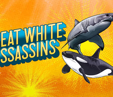 Great White Assassins