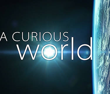 A Curious World