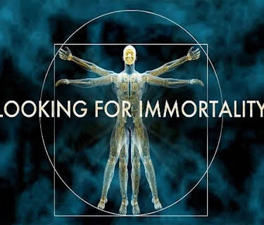 Looking for Immortality (2020)