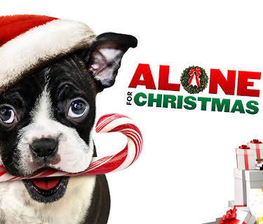 Alone for Christmas (2013)