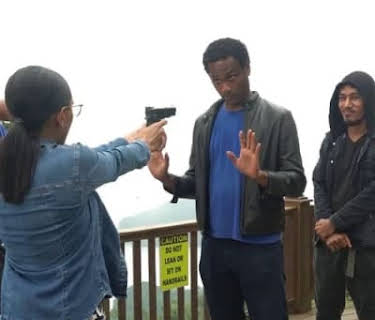Island Law