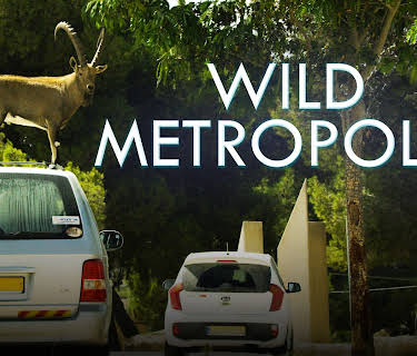 Wild Metropolis: Season 1