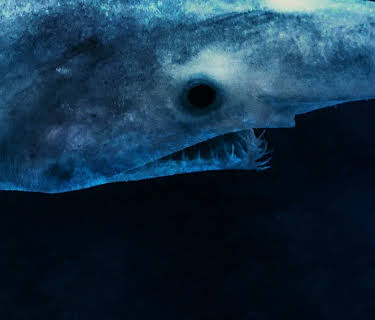 Alien Sharks: Stranger Fins (2017)