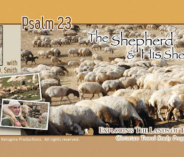 Ps 23 - The Shepherd and his Sheep