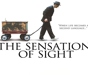 The Sensation of Sight (2006)