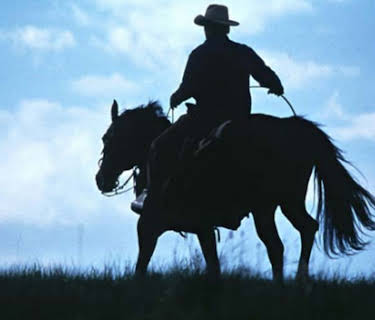 The Horse Whisperer (1998)