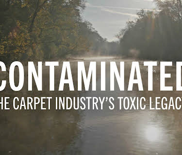 Contaminated: The Carpet Industry's Toxic Legacy (2026)