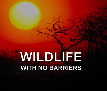 Wildlife With No Barriers (2022)