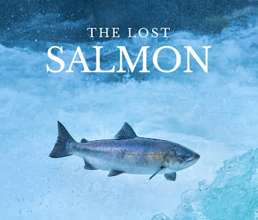 The Lost Salmon (2023)