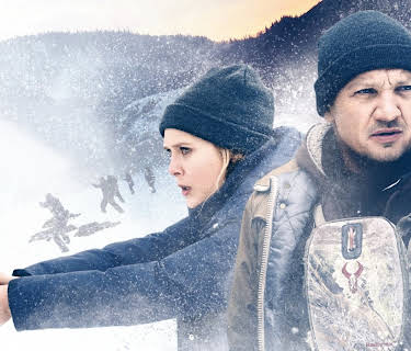 Wind River (2017)