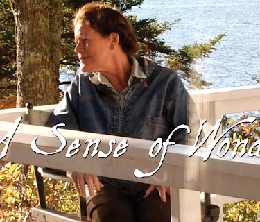 A Sense Of Wonder (2008)