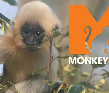 Monkey Life