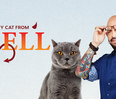 My Cat From Hell Season 1