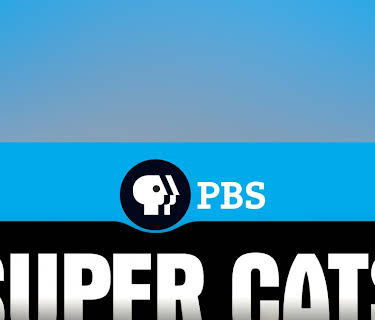Super Cats