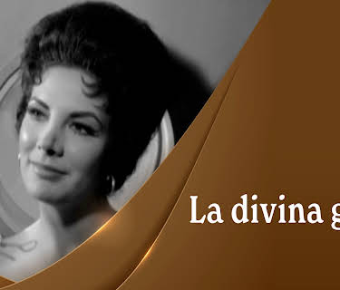 La divina garza (1963)