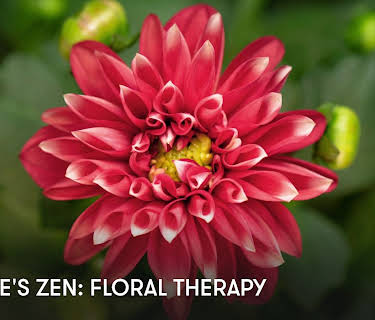 Nature's Zen: Floral Therapy (2025)
