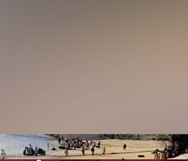 Hitler's Eastern Front: Army Group North, Army Group Center, & Army Group South