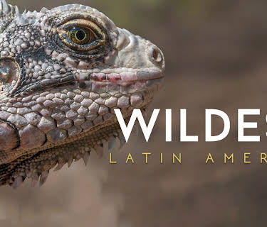 Wildest: Latin America