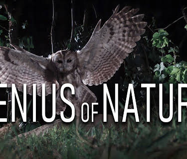 Genius of Nature, Season 1