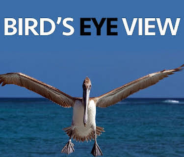 Bird's Eye View (2020)