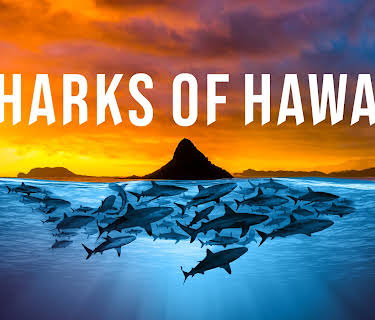 Sharks of Hawaii (1982)