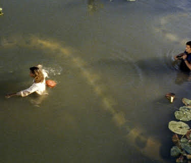 Anacondas: The Hunt For The Blood Orchid (2004)