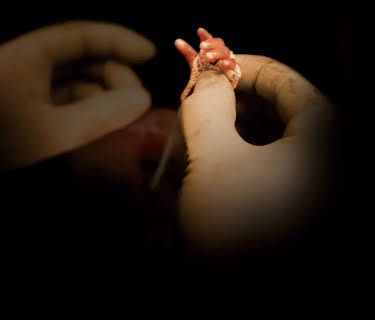 Twice Born - Stories from the Special Delivery Unit