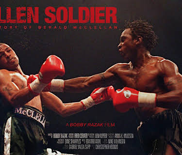 Fallen Soldier (2013)