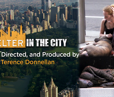 Shelter In The City (2017)