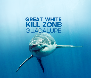 Great White Kill Zone: Guadalupe (2019)