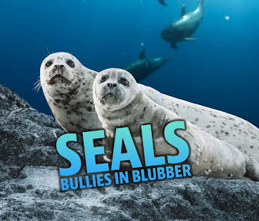 Seals Bullies in Blubber (2017)