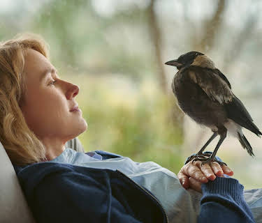 Penguin Bloom (2021)