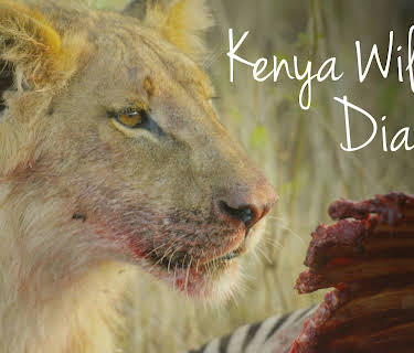 Kenya Wildlife Diaries