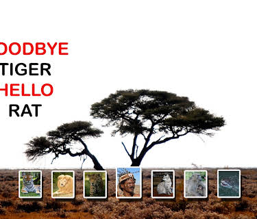 Goodbye Tiger Hello Rat (2020)