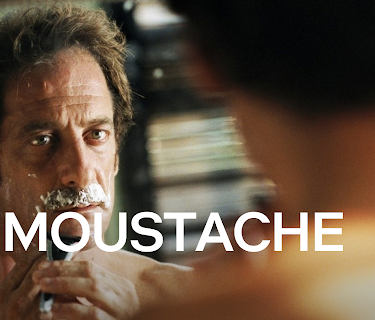 La Moustache (English Subtitled) (2005)