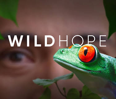 Wild Hope, Season 1