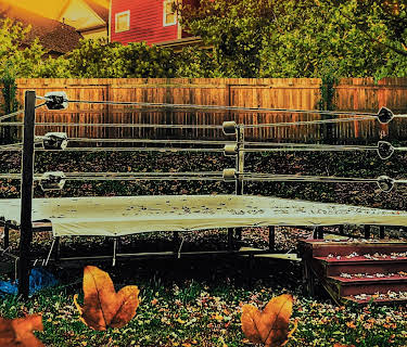 A Backyard In Delaware (2024)