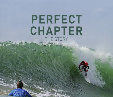 Perfect Chapter, The Story (2014)